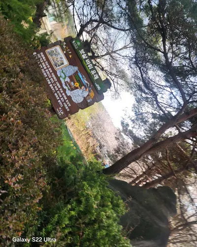 Media 10