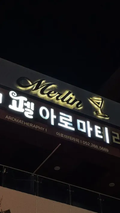 멀린 1