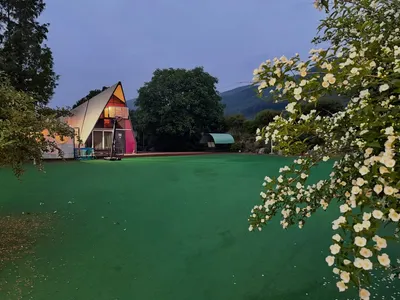 Media 15