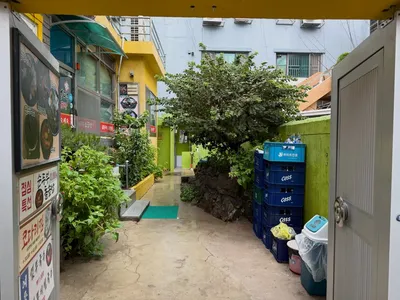 고성댁 4
