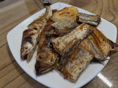 월아 15