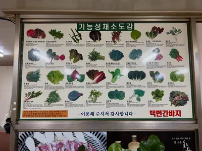 백번간바지 17