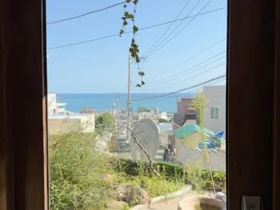 심미안 15