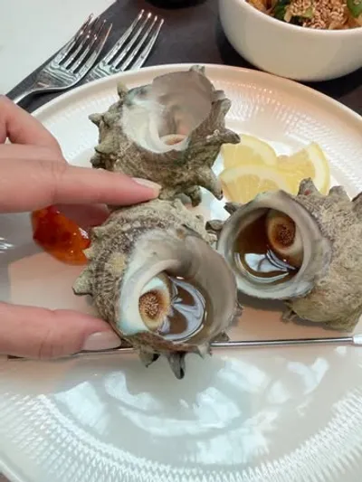 쉐라톤 제주 호텔 15
