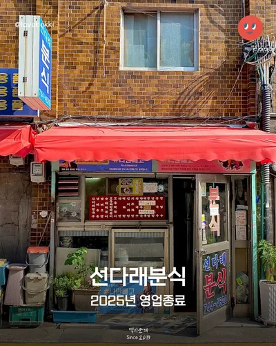 선다래 2