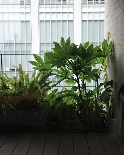 Hamacho Hotel 8