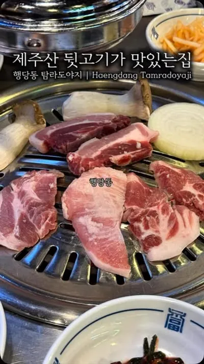탐라제주도야지 1