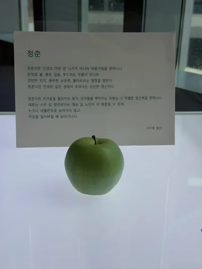 뮤지엄산 4