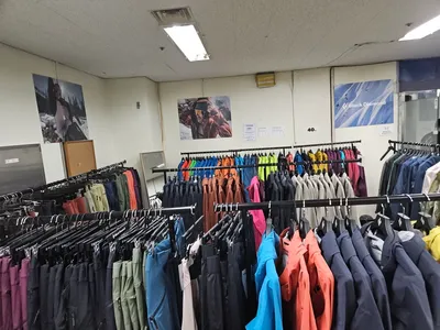 Media 8