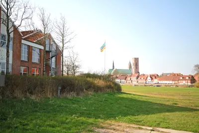 Media 8